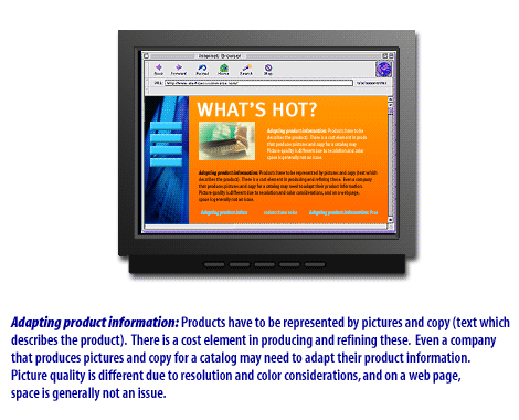 3) Adapting product information: Products have to be represented by pictures and copy (text which describes the product)