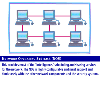 4) Network Structure 4