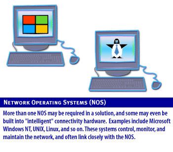 5) Network Structure 5