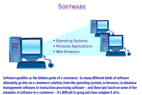 6) Software qualifies as the hidden genie of e-commerce, so many different kinds of software ultimately go into an e-commerce solution, from the operating systems, to browsers, to database management software, to transaction processing software, and these just touch on some of the elements of software in ecommerce.