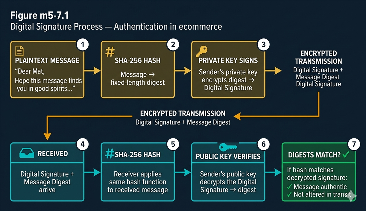 Seven-step digital signature process for ecommerce authentication — sender hashes plaintext with SHA-256, signs digest with private key, transmits; receiver hashes received message, decrypts signature with sender's public key, compares digests to verify authenticity and integrity — 2026 ecommerce authentication