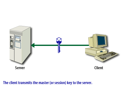 3) SS Connection 3