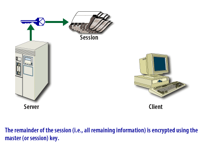 5) SS Connection 5