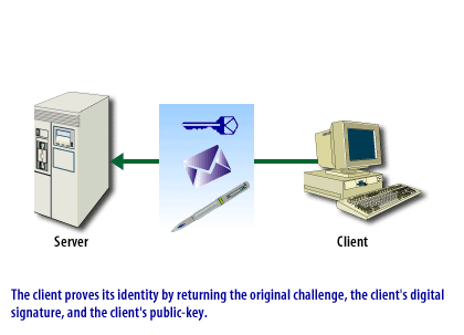 7) SS Connection 7