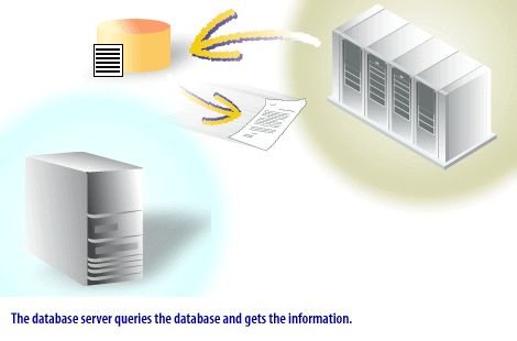 3) The database server queries the database and gets the information