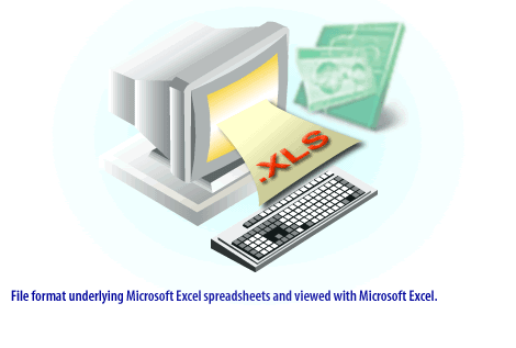 7) File format for Microsoft Excel spreadsheets and viewed with Microsoft Excel.
