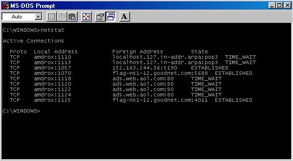 5) Netstat displays a list of server-side TCP/IP connections. The output includes a list of addresses corresponding to open incoming connections. 