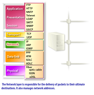 5) The Network layer is responsible for the delivery of packets to their ultimate destinations