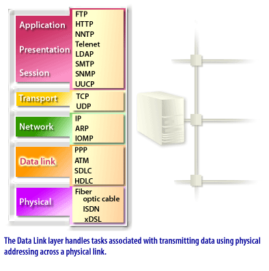 6) The Data Link Layer handles tasks associated with transmitting data using physical addressing across a physical link.