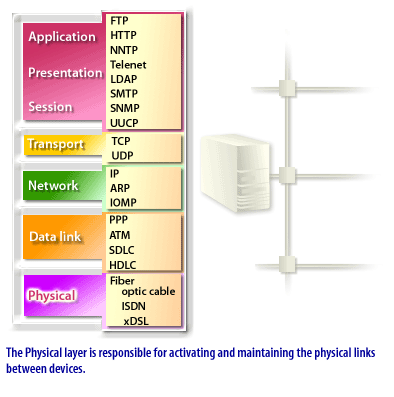 7) The physical layer is responsible for activating and maintaining the physical links