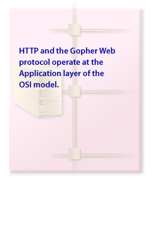 HTTP and the Gopher Web protocol operate at the Application layer of the OSI Model.