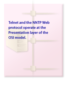 Telnet and the NNTP Web protocol operate at the presentation layer of the OSI model