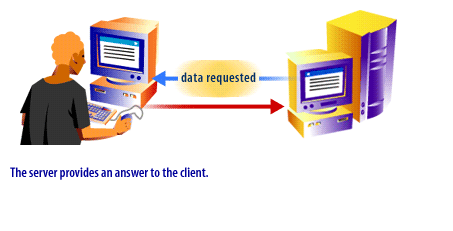 3) The server provides an answer to the client
