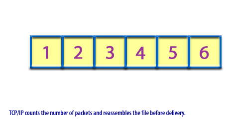 5) TCP IP counts the number of packets and reassembles the file before delivery.