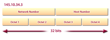 Network Number is assigned for the first 2 Octets.