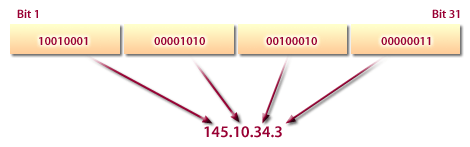 IP Address is assigned bits 1 through 31.