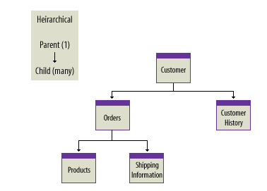  Hierarchical Database