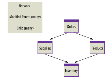 Network Database