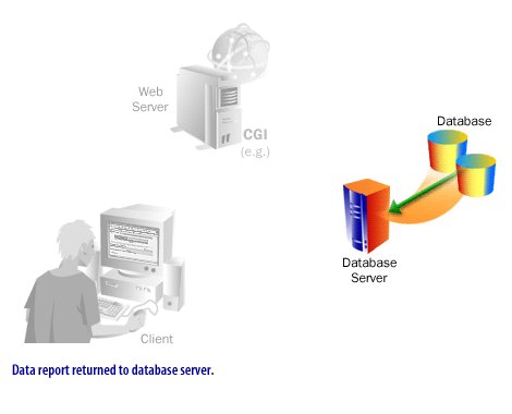 5) Data report returned to database server.