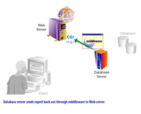 6) Database server sends report back out through middleware to Web Server.