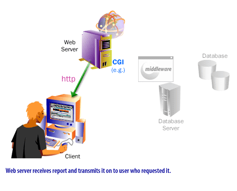 7) Web server receives report and transmits it on to user who requested it.